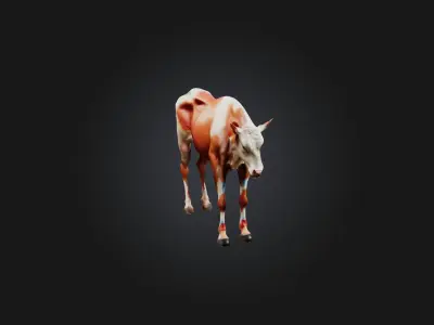 Realistic Injured Calf Model Low-poly 3D model