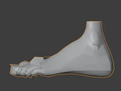 LEFT FOOT Low-poly 3D model
