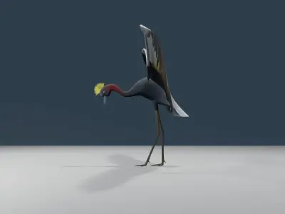 Crowned cranes 3d model 3D model