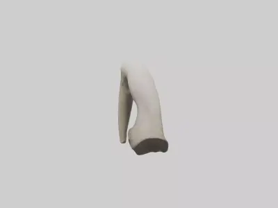 Elephant Femur Low-poly 3D model