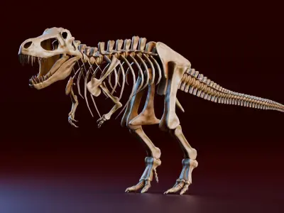 Realistic Ancient Reptilians Fossil - Tyranosaurus Low-poly 3D model