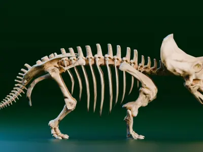 Realistic Ancient Reptilians Fossil - Triceratops Low-poly 3D model