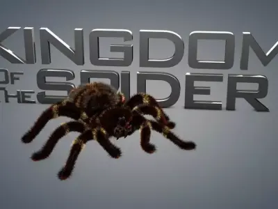 Spider tarantula 3D model