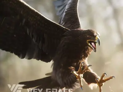 Aquila Nipalensis Animated VFX Grace 3D model