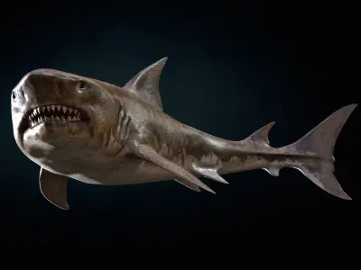 AlienShark 5 Low-poly 3D model