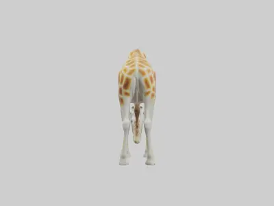 Camelopardalis Giraffe grazing model Low-poly 3D model