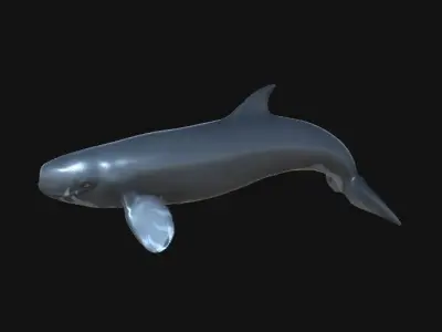 Livyatan Asset Pack Low-poly 3D model