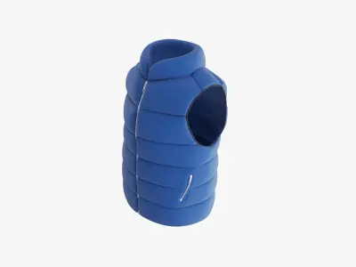 Puffer Vest 3D model buy