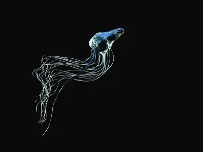 Jellyfish animted model with dynamics Low-poly 3D model