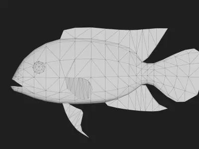 Parrotcichlid Low-poly 3D model
