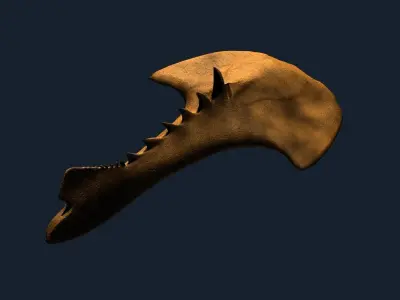 Drepanaspis Low-poly 3D model