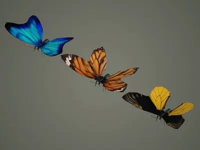 butterfly antenna wing insect fly wildlife summer sky  3D model