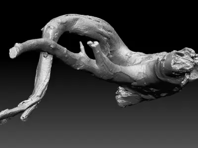 Tree root 3d scan in highpoly 3D model