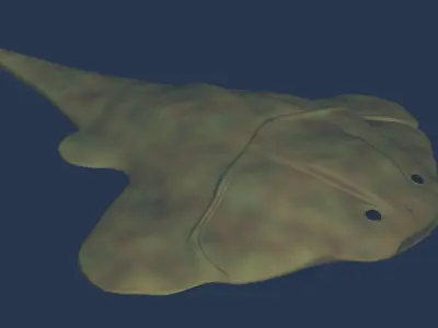 Gemuendina shark 3D model
