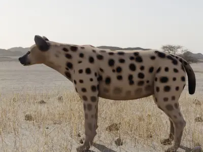 Hyena dog Low-poly 3D model