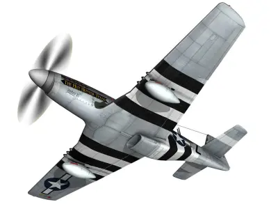 North American P-51D - The Hun Hunter Texas  3D model