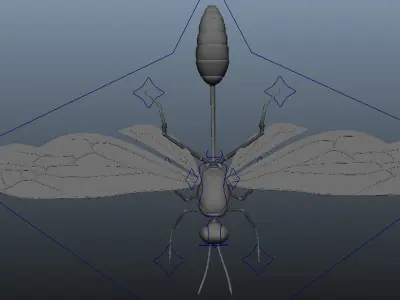 Wasp 3d model with basic rig setup  3D model