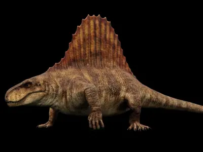 Dimetrodon - Prehistoric Synapsid Low-poly 3D model