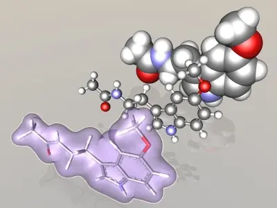 Melatonin molecule 3D model
