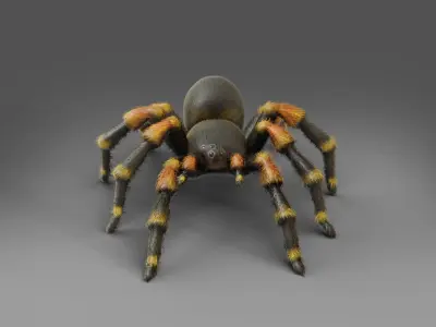 3D Spider Tarantula Rigged  Low-poly 3D model
