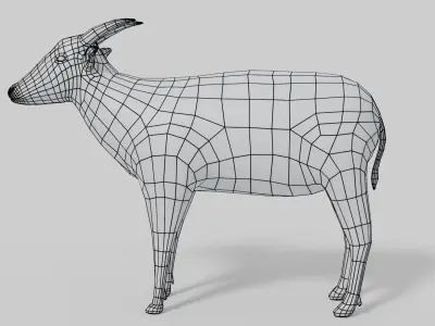 3D Anoa Model goat Low-poly 3D model