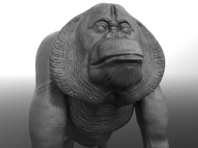 Orangutan gorilla Free 3D model