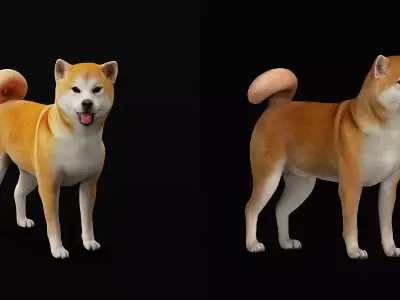 Japanese Shiba Inu Dog Free 3D model