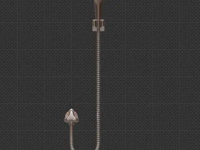 Shower Spray 3D model