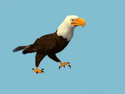 Eagle flying in sky 3D model