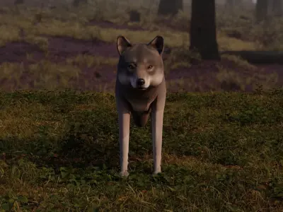 Wolf LowPoly Low-poly 3D model