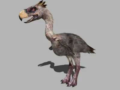 Terror Bird Phorusrhacos 3d model 3D model