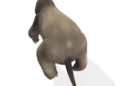 Chill the Stylized Sloth 3D model