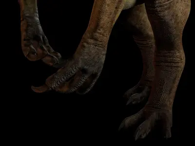 Allosaurus fragilis 2024 Version Low-poly 3D model