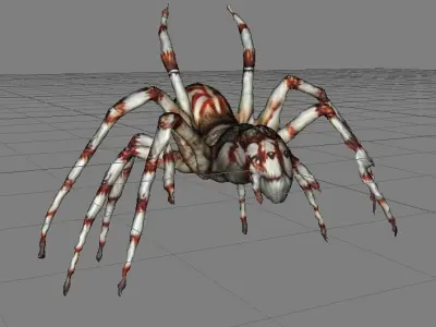 spooky scary white spider 3D print model