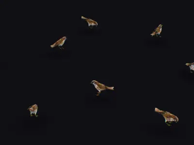 Realistic Sparrow Flock Animated Bird Swarm Shoal Birds Low-poly 3D model