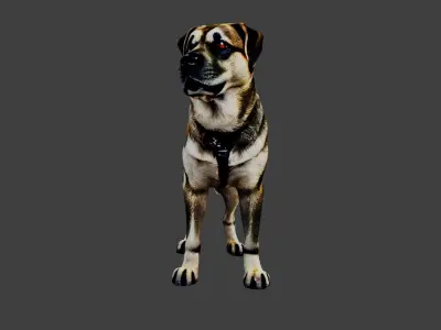 Dog Animal Low-poly 3D model