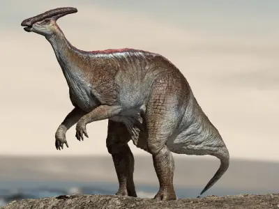 Parasaurolophus 3D Rigged model Low-poly 3D model