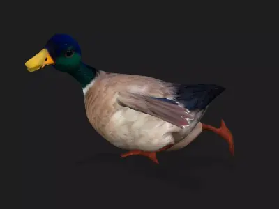 Duck A2 Free low-poly 3D model