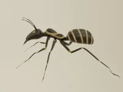 ancient ant 3D model