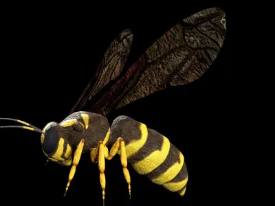 wasp low poly and fully rigged Low-poly 3D model