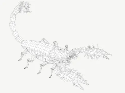 Emperor Scorpion Low-poly 3D model