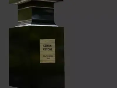Modern Perfume Bottle 3D Model for Product Advertising 3D model