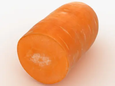 Half Carrot 3D model