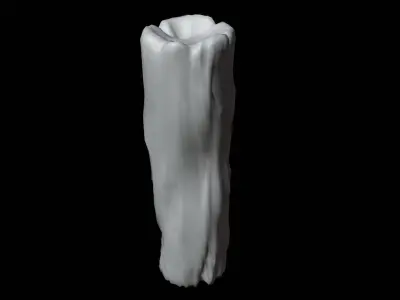 Realistic Trunk 3D Model Low-poly 3D model