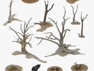 Namibian Desert Dry Vegetation Pack 12 3D model
