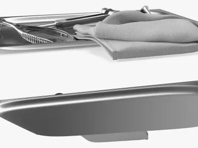 ENT Diagnostic Instrument Tray Stainless 3D model