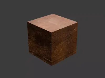 irrepleaseble PROJECT 3D model