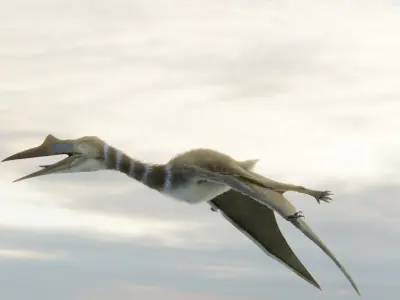 Monster Quetzalcoatlus - Prehistoric Dinosaur Low-poly 3D model