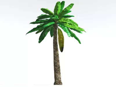 EVERYPlant Bjuvia Cycad 2 --12 Models-- 3D model