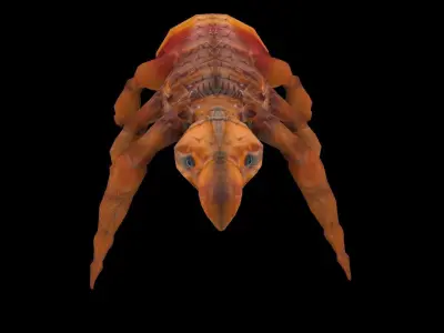 Fleas Insect Tick Louse 3D model Low-poly 3D model